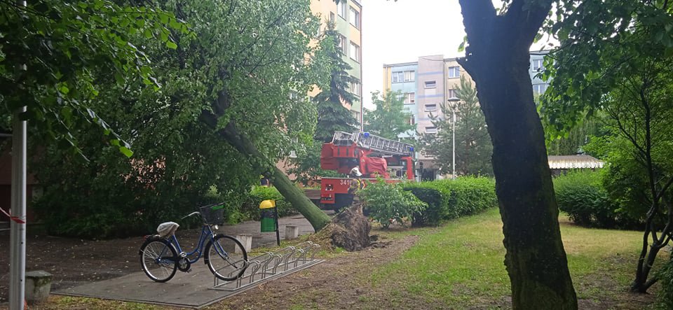 Walka ze skutkami nawałnicy [24.06.2021] - zdjęcie #1 - eOstroleka.pl
