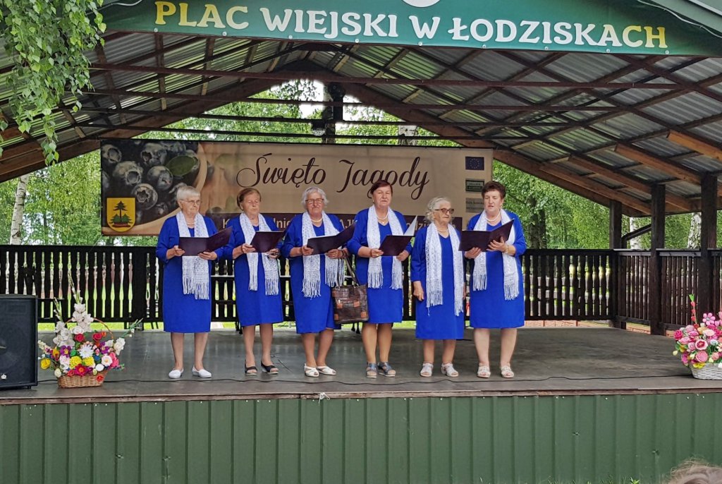 Święto Jagody w Łodziskach - zdjęcie #16 - eOstroleka.pl