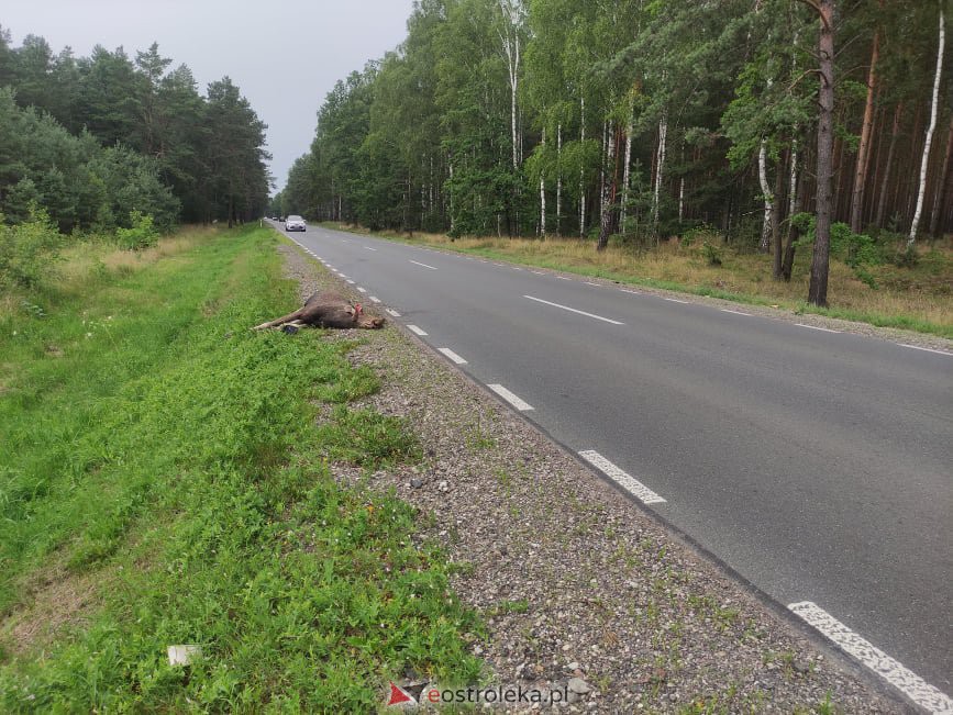 Wypadek w Łodziskach na DK-53 [15.07.2021] - zdjęcie #7 - eOstroleka.pl