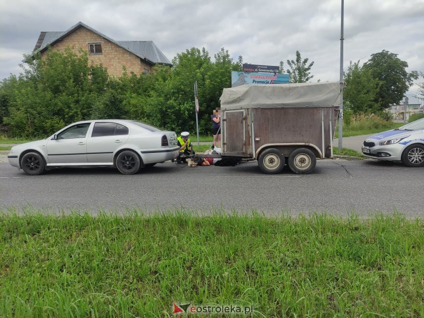 Wypadek przy rondzie Kupiszewskiego. Rowerzystka pod kołami osobówki z przyczepką [19.07.2021] - zdjęcie #14 - eOstroleka.pl