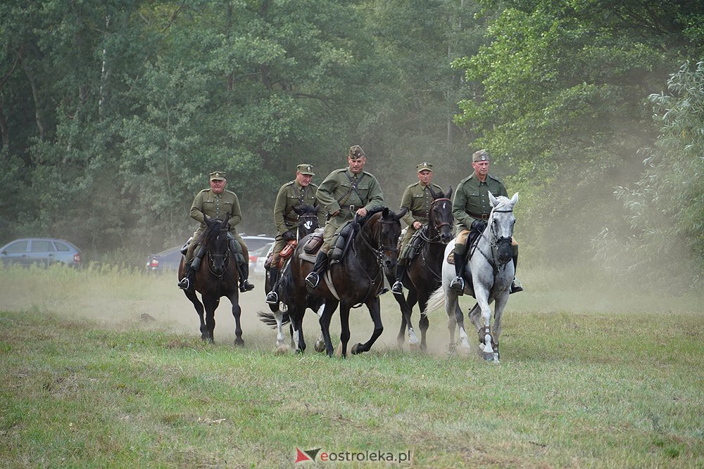 IV Ławski Piknik Kawaleryjski - zdjęcie #39 - eOstroleka.pl