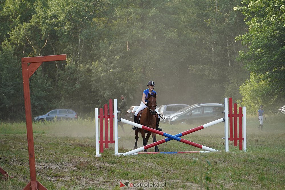 IV Ławski Piknik Kawaleryjski - zdjęcie #18 - eOstroleka.pl