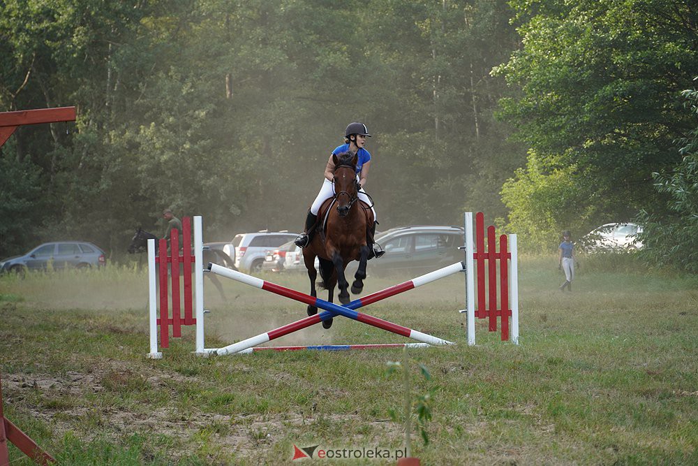 IV Ławski Piknik Kawaleryjski - zdjęcie #17 - eOstroleka.pl