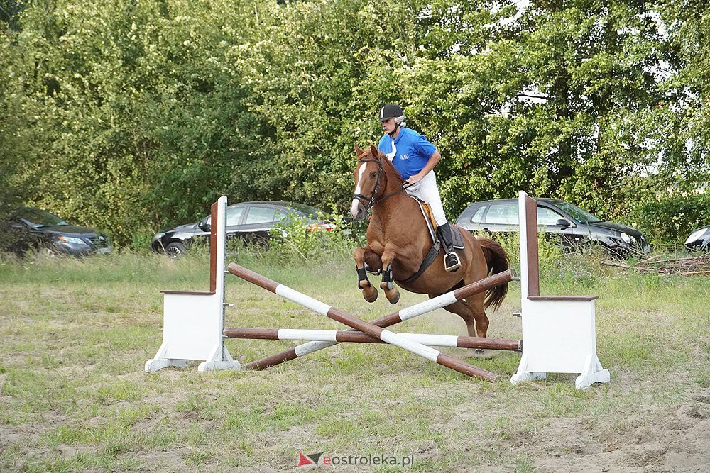 IV Ławski Piknik Kawaleryjski - zdjęcie #12 - eOstroleka.pl