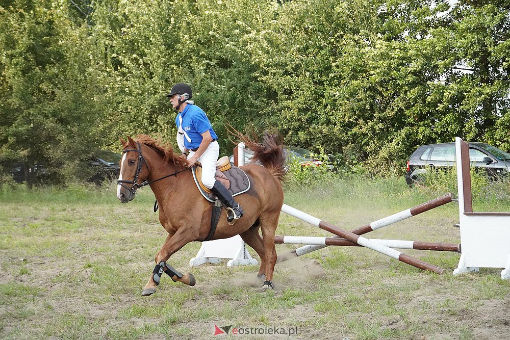 IV Ławski Piknik Kawaleryjski - zdjęcie #11 - eOstroleka.pl