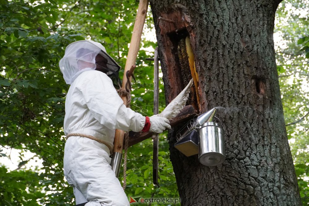 Przemienienie Pańskie w Brodowych Łąkach [5-6.08.2021] - zdjęcie #19 - eOstroleka.pl