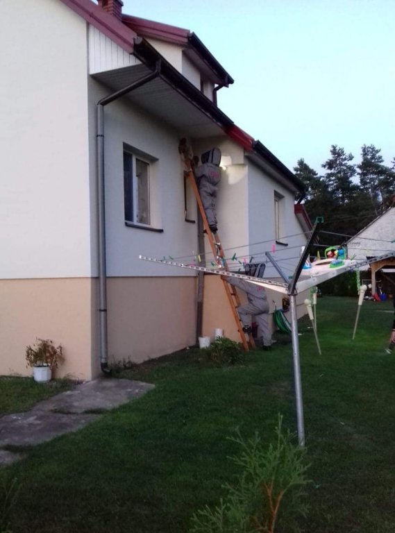 Strażacy zlikwidowali gniazda szerszeni [9.08.2021] - zdjęcie #1 - eOstroleka.pl