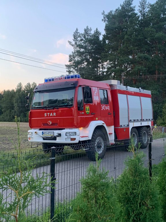 Strażacy zlikwidowali gniazda szerszeni [9.08.2021] - zdjęcie #3 - eOstroleka.pl