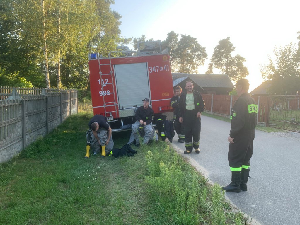 Strażacy zlikwidowali gniazda szerszeni [9.08.2021] - zdjęcie #4 - eOstroleka.pl
