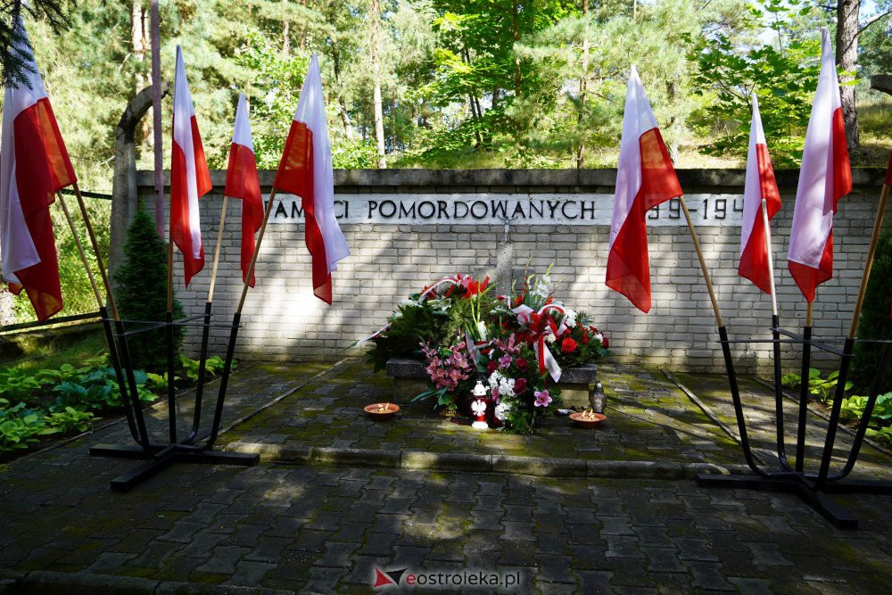 Miejskie obchody rocznicy wybuchu II Wojny Światowej [1.09.2021] - zdjęcie #6 - eOstroleka.pl