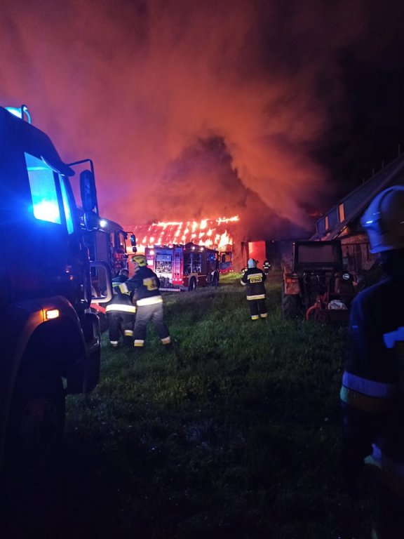 Pożar pod Czerwinem. W akcji 10 jednostek strażackich [09.09.2021] - zdjęcie #9 - eOstroleka.pl