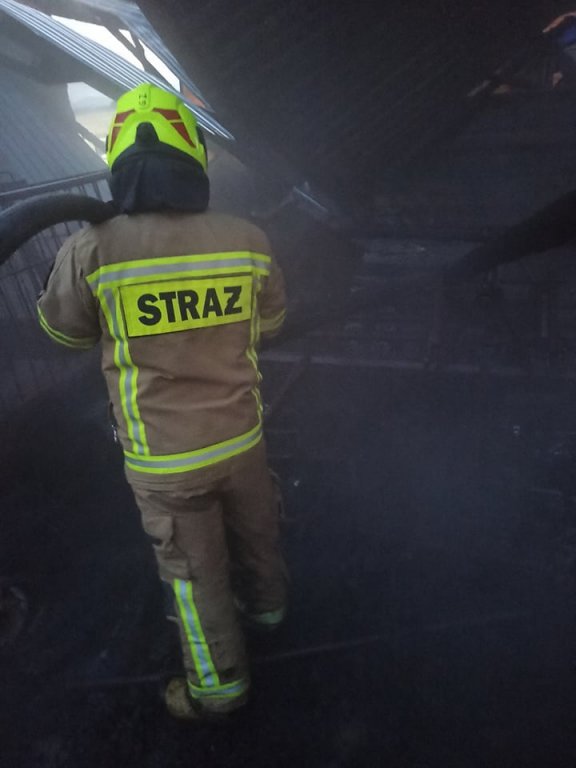 Pożar pod Czerwinem. W akcji 10 jednostek strażackich [09.09.2021] - zdjęcie #12 - eOstroleka.pl