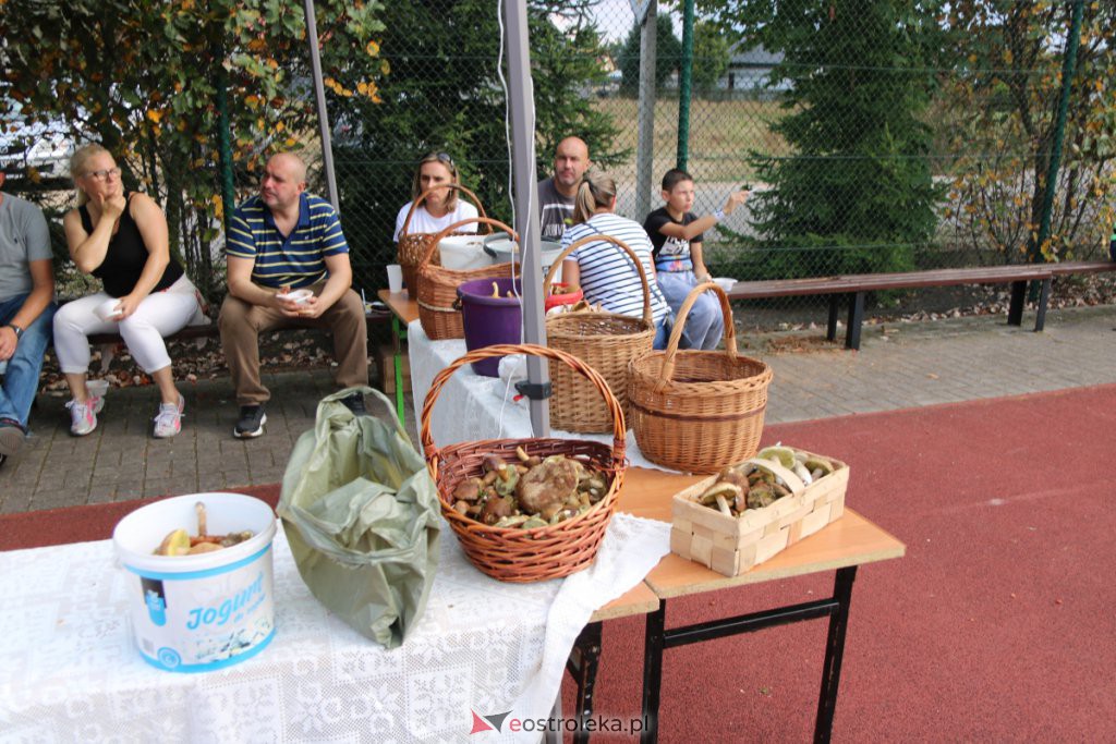 Grzybobranie w Białobieli [12.09.2021] - zdjęcie #9 - eOstroleka.pl