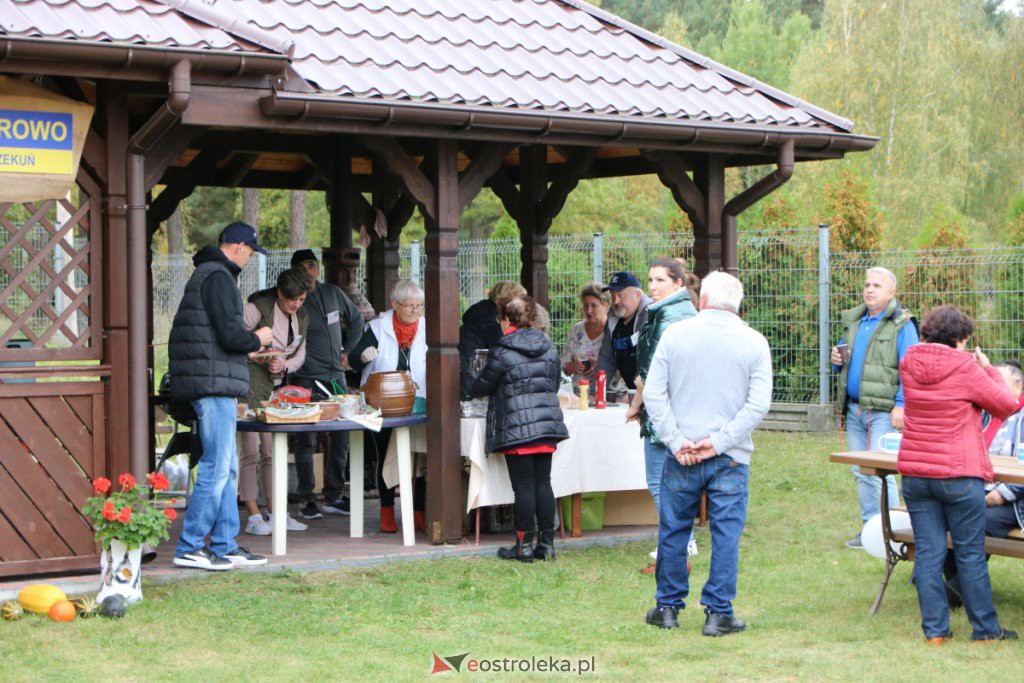 Festyn rodzinny #SzczepimySię z KGW w Teodorowie [25.09.2021] - zdjęcie #21 - eOstroleka.pl