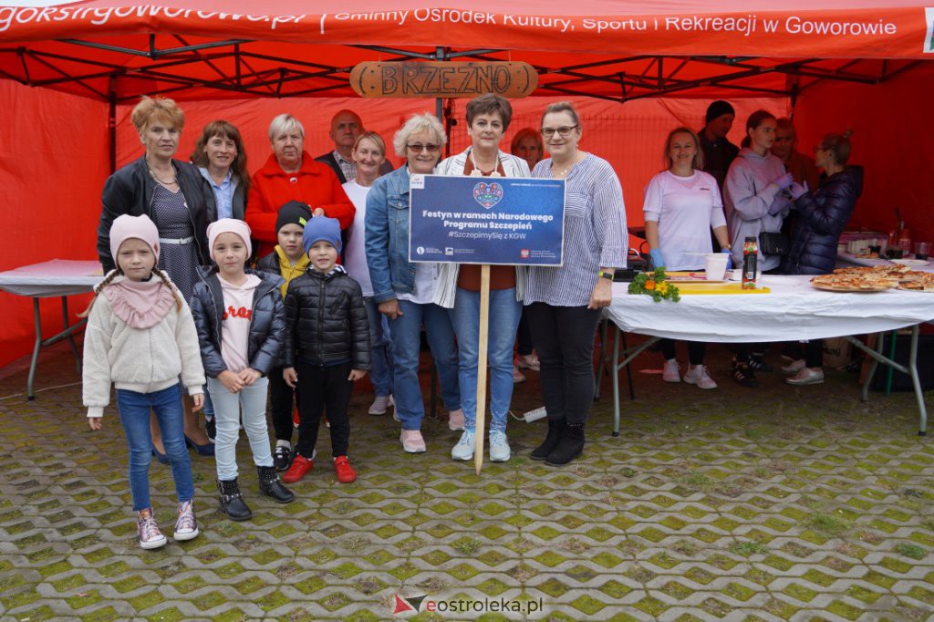 Szczepimy się z KGW. Festyn rodzinny w Brzeźnie  - zdjęcie #60 - eOstroleka.pl