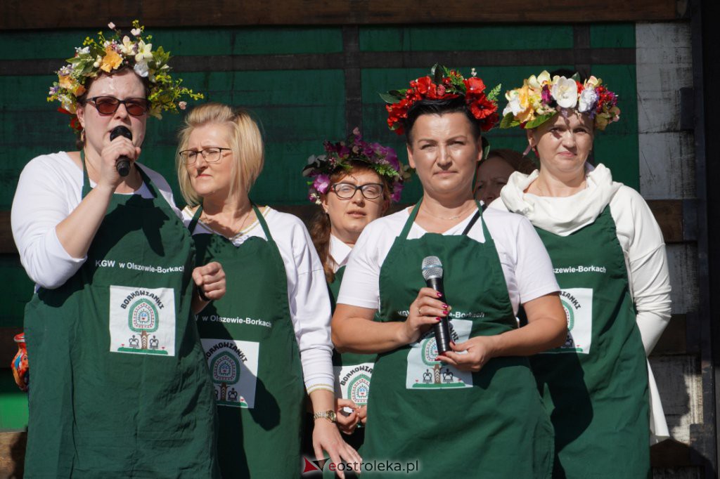 Festyn rodzinny w Olszewie-Borkach [26.09.2021] - zdjęcie #14 - eOstroleka.pl