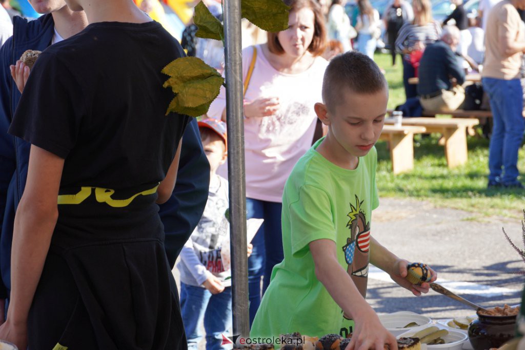 Festyn rodzinny w Olszewie-Borkach [26.09.2021] - zdjęcie #17 - eOstroleka.pl