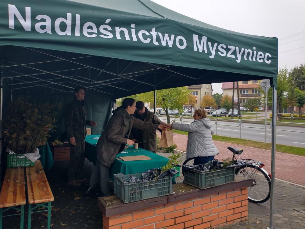 Akcja sadziMY. Leśnicy z Myszyńca rozdawali chętnym sadzonki - zdjęcie #7 - eOstroleka.pl