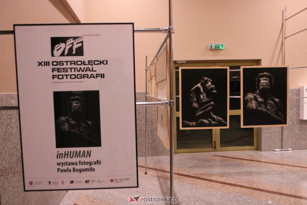 OFF 2021: Dwie kolejne wystawy oficjalnie otwarte [08.10.2021] - zdjęcie #25 - eOstroleka.pl