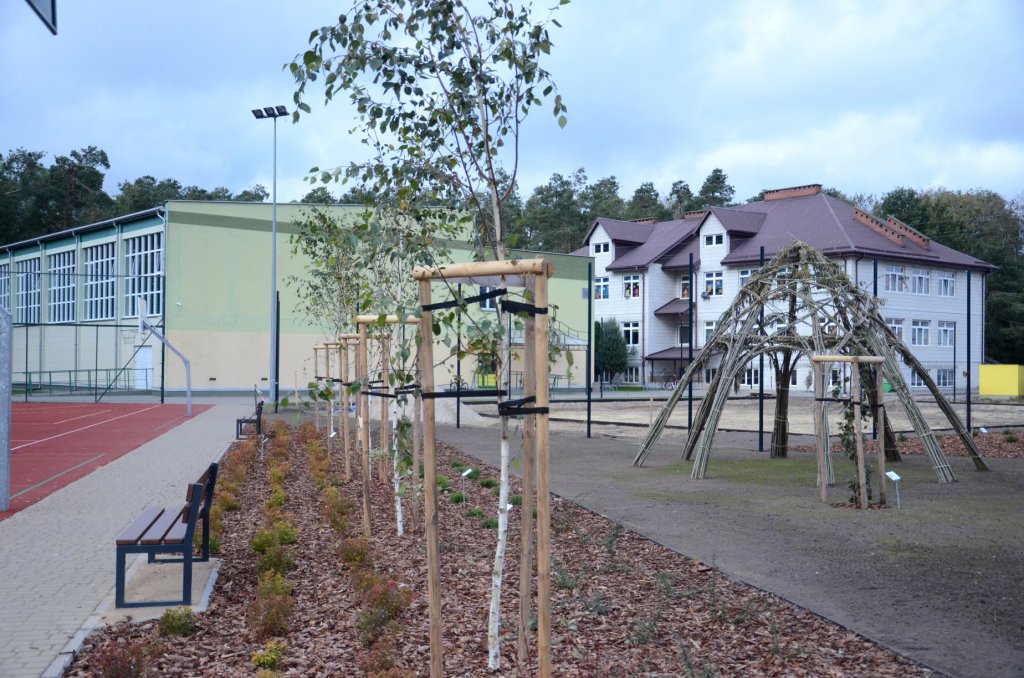 Kadzidlańskie arboretum już gotowe. Ogród robi wrażenie! [13.10.2021] - zdjęcie #25 - eOstroleka.pl