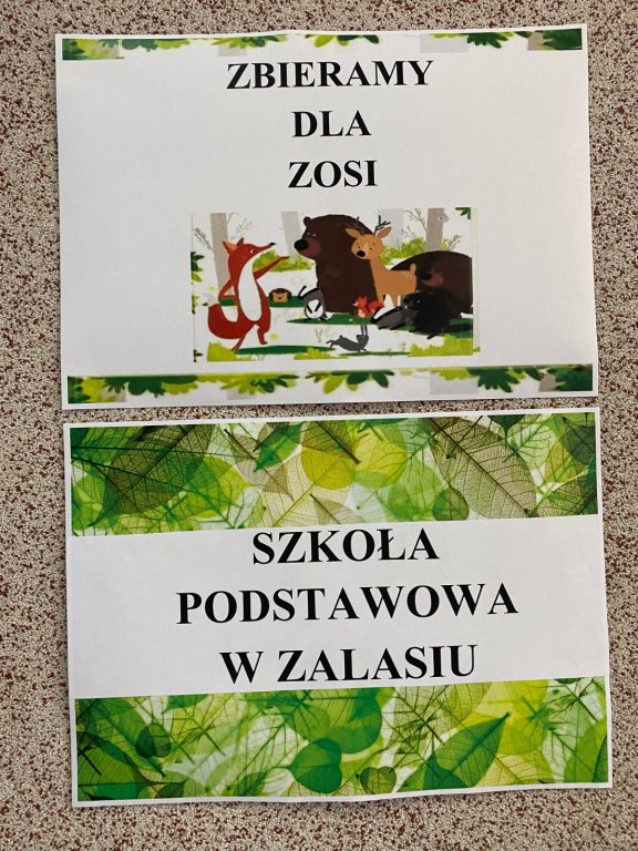Dzień Bajki w Szkole Podstawowej w Zalasiu - zdjęcie #6 - eOstroleka.pl