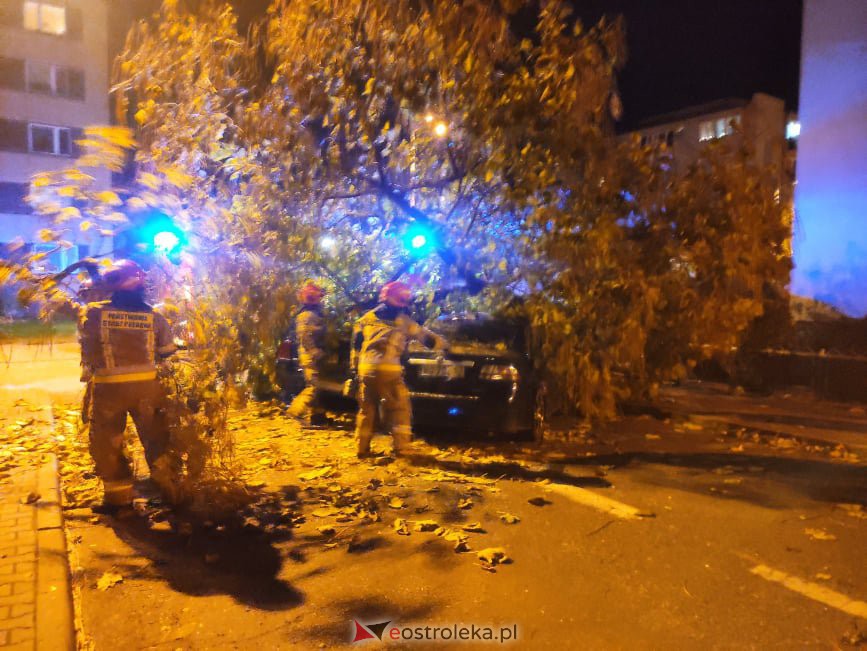 Powalone drzewo przygniotło samochody przy Psarskiego [21.10.2021] - zdjęcie #6 - eOstroleka.pl
