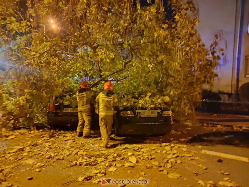 Powalone drzewo przygniotło samochody przy Psarskiego [21.10.2021] - zdjęcie #7 - eOstroleka.pl