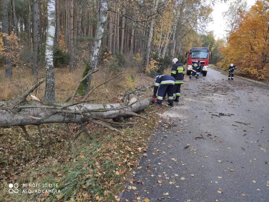 Powalone drzewo przygniotło samochody przy Psarskiego [21.10.2021] - zdjęcie #11 - eOstroleka.pl