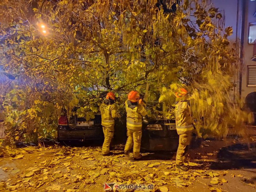 Powalone drzewo przygniotło samochody przy Psarskiego [21.10.2021] - zdjęcie #8 - eOstroleka.pl