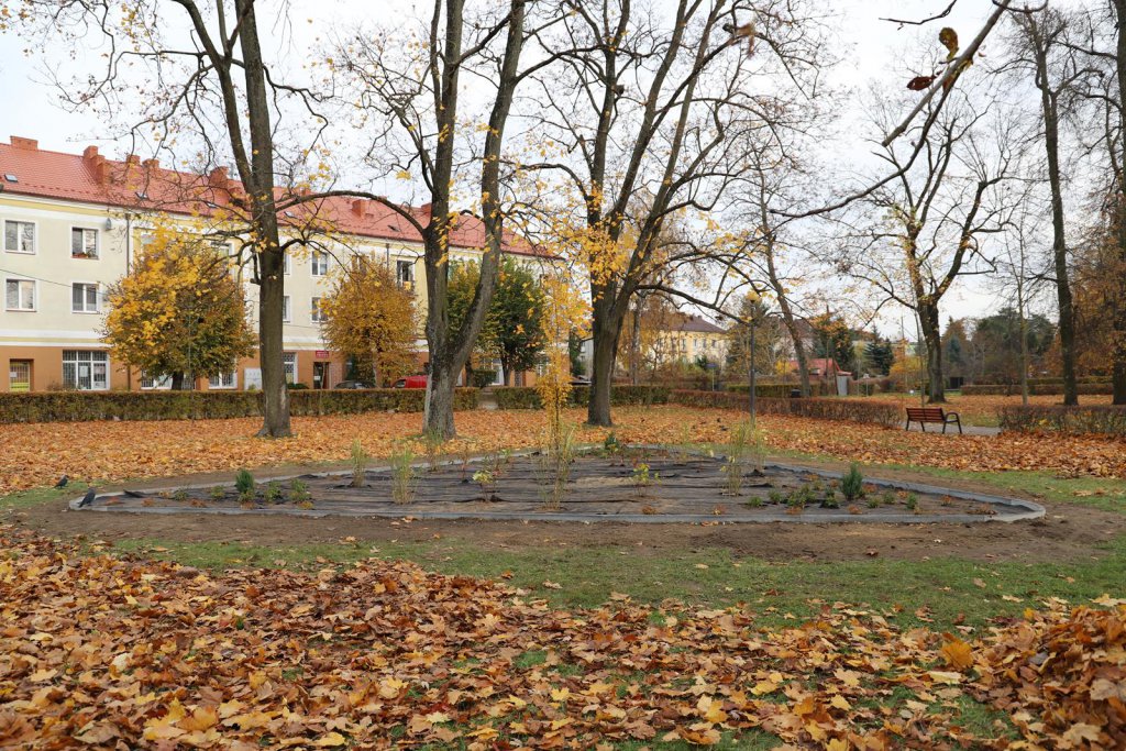 Nowy klomb z roślinnością na osiedlu Wojciechowice - zdjęcie #5 - eOstroleka.pl