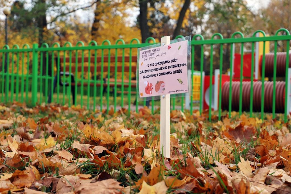 Tu nie sprzątamy liści. Dajemy schronienie zwierzętom - zdjęcie #2 - eOstroleka.pl