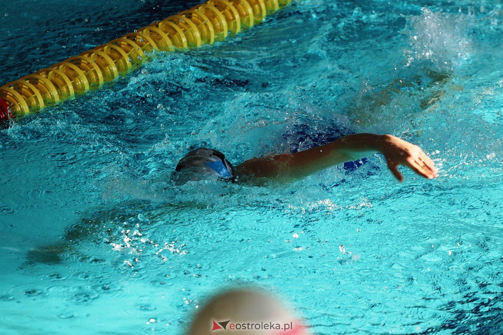 Mistrzostwa Ostrołęki w pływaniu [30.10.2021] - zdjęcie #18 - eOstroleka.pl