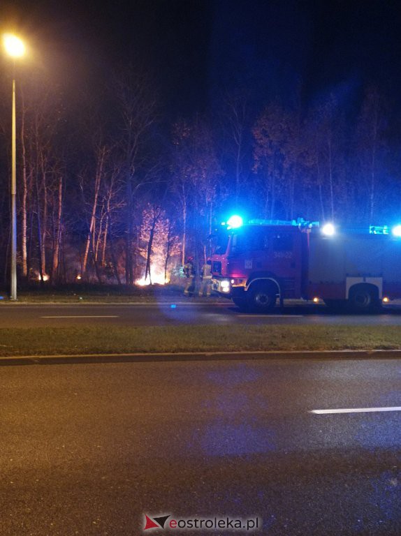 Pożar przy mini-obwodnicy -01.11.2021= - zdjęcie #3 - eOstroleka.pl