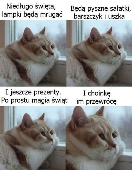 Spotkanie z Anną Romejko w SP 5 - zdjęcie #8 - eOstroleka.pl
