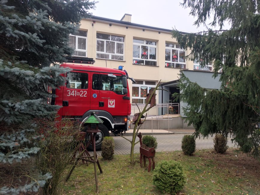 Niebezpieczne owady w „siódemce”. Na pomoc ruszyła straż pożarna [17.11.2021] - zdjęcie #5 - eOstroleka.pl