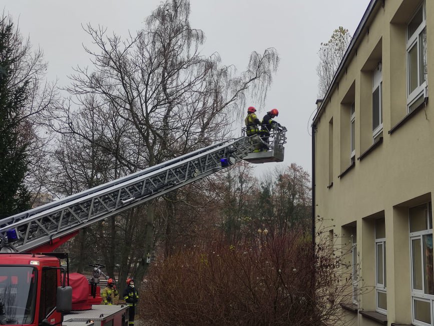 Niebezpieczne owady w „siódemce”. Na pomoc ruszyła straż pożarna [17.11.2021] - zdjęcie #6 - eOstroleka.pl