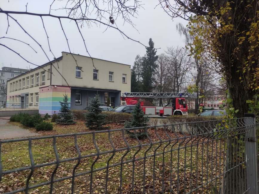 Niebezpieczne owady w „siódemce”. Na pomoc ruszyła straż pożarna [17.11.2021] - zdjęcie #8 - eOstroleka.pl