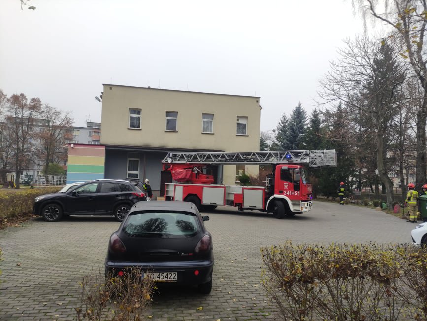Niebezpieczne owady w „siódemce”. Na pomoc ruszyła straż pożarna [17.11.2021] - zdjęcie #12 - eOstroleka.pl