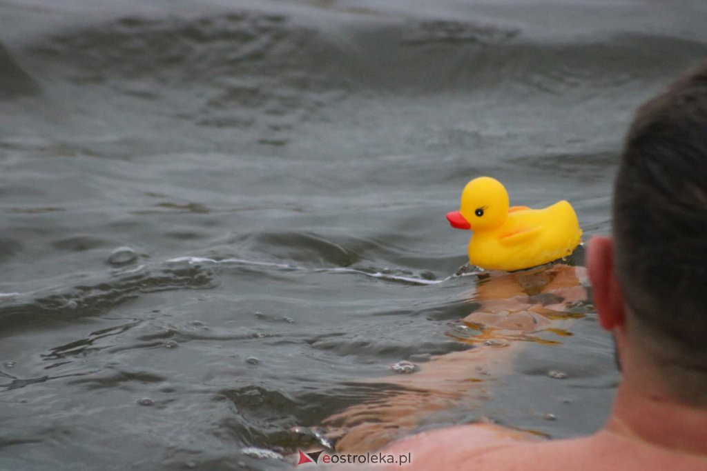 Morsy z Ostrołęki po kolejnej kąpieli w chłodnej rzece [21.11.2021] - zdjęcie #6 - eOstroleka.pl