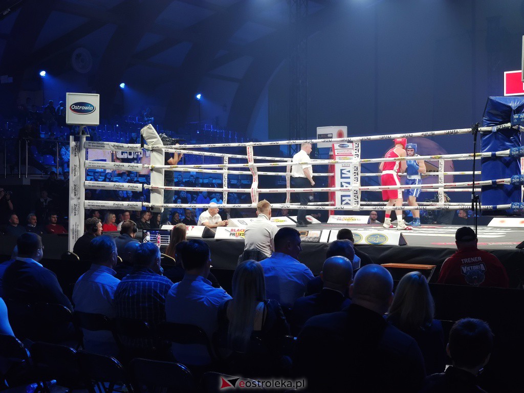 Knockout Boxing Night 19 [27.11.2021] - zdjęcie #8 - eOstroleka.pl