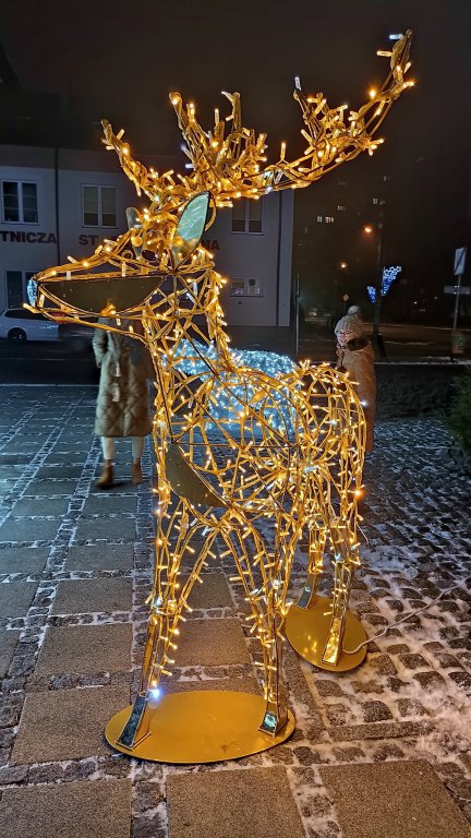 Świąteczne ozdoby już cieszą mieszkańców Ostrołęki [11.12.2021] - zdjęcie #5 - eOstroleka.pl