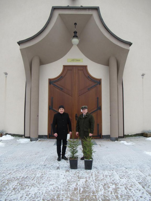 Choinki Bożonarodzeniowe z nasion poświęconych przez papieża Franciszka  - zdjęcie #4 - eOstroleka.pl