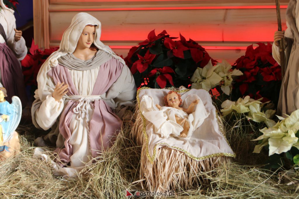 Szopki bożonarodzeniowe w ostrołęckich kościołach - zdjęcie #35 - eOstroleka.pl