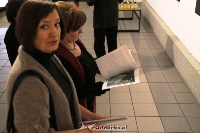 Przestrzeń malarstwa II (03.02.2011) - zdjęcie #22 - eOstroleka.pl