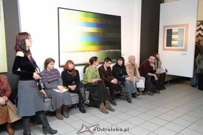 Przestrzeń malarstwa II (03.02.2011) - zdjęcie #18 - eOstroleka.pl