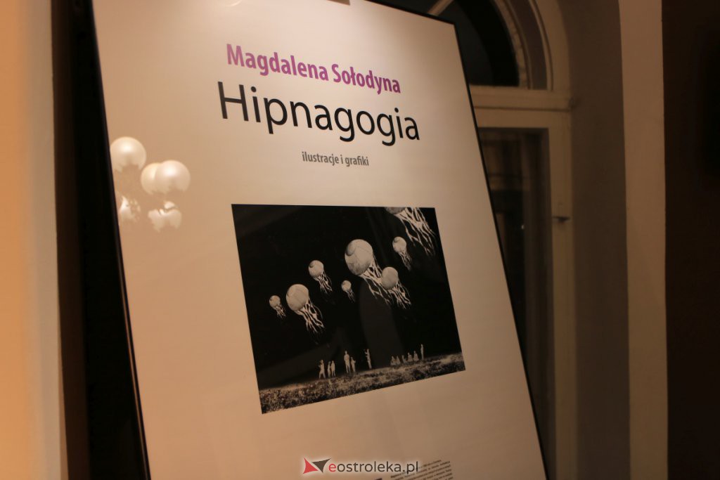 Wernisaż wystawy Hypnagogia Magdaleny Sołodyny w Galerii Ostrołęka [20.01.2022] - zdjęcie #9 - eOstroleka.pl