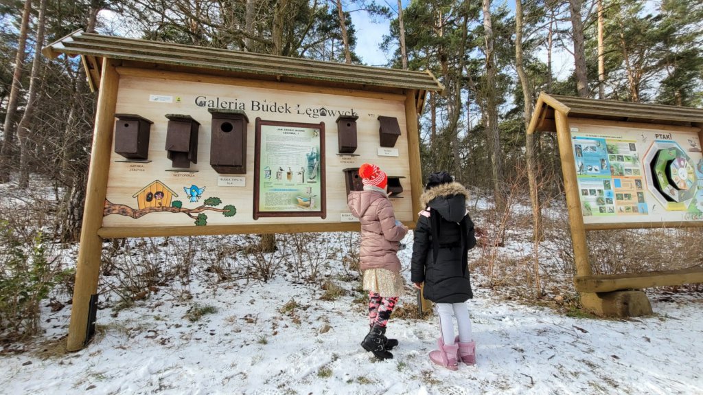 Aktywne ferie zimowe z CK-BiS w Lelisie [01.02.2022] - zdjęcie #11 - eOstroleka.pl