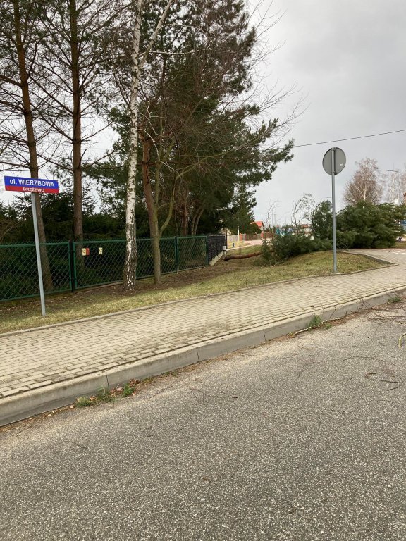 Wieje, niszczy i sieje strach. Kolejna noc z wichurą w regionie [19.02.2022] - zdjęcie #22 - eOstroleka.pl