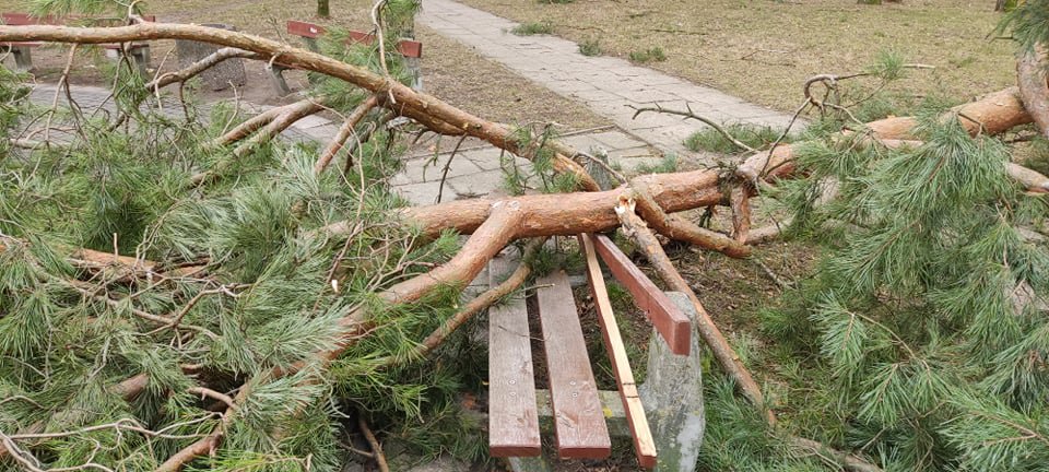 Wieje, niszczy i sieje strach. Kolejna noc z wichurą w regionie [19.02.2022] - zdjęcie #86 - eOstroleka.pl