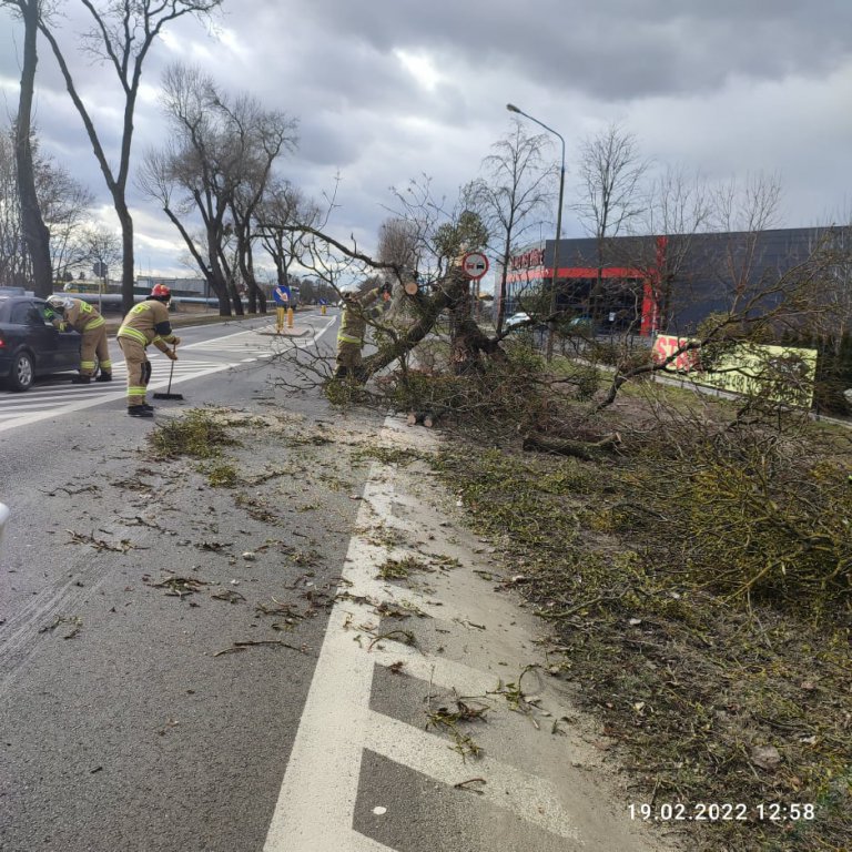 Wieje, niszczy i sieje strach. Kolejna noc z wichurą w regionie [19.02.2022] - zdjęcie #14 - eOstroleka.pl